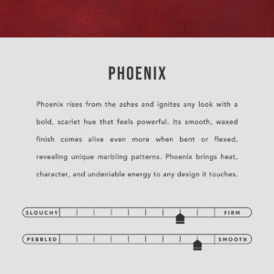 Phoenix | infographic