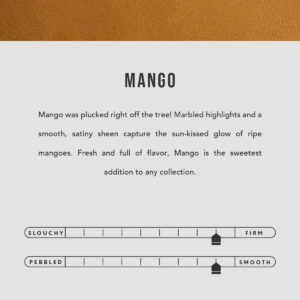 Mango | infographic