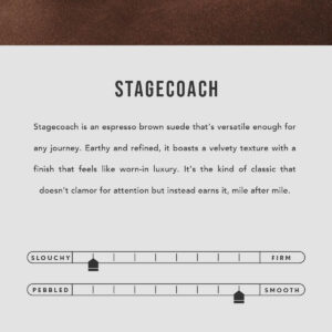 Stagecoach | infographic